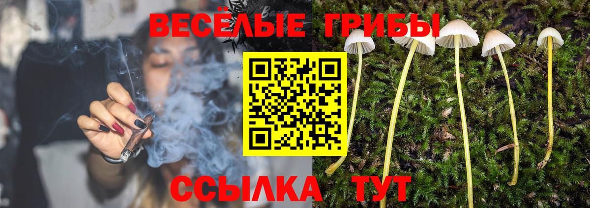 Псилоцибиновые грибы прущие грибы Нижневартовск