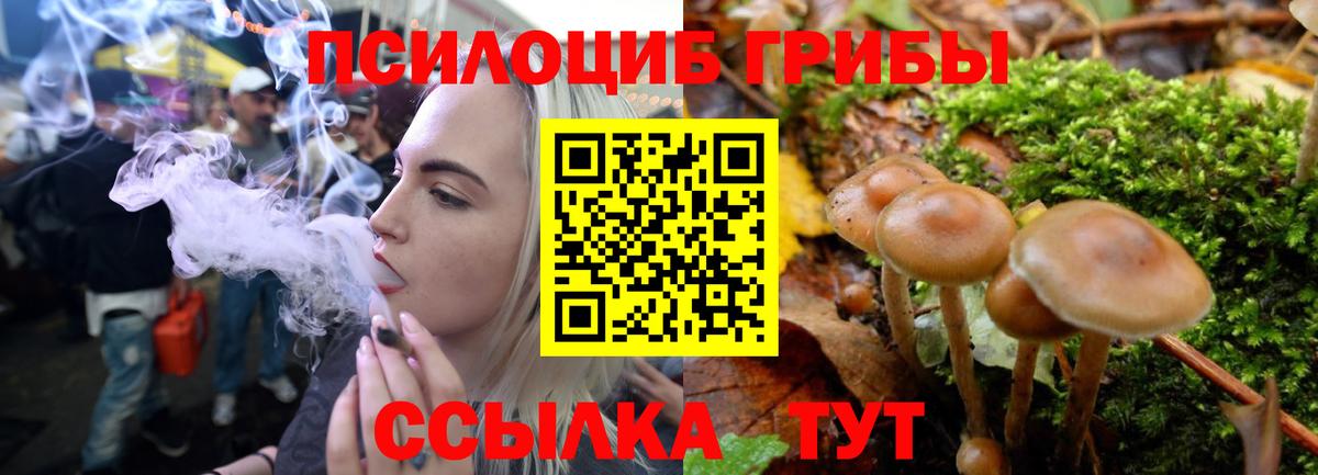 Нижневартовск  Галлюциногенные грибы GOLDEN TEACHER  как найти закладки  Вход с VPN 